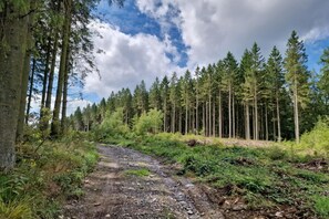 Surroundings [summer] (1-5 km)