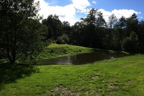 Surroundings [summer] (1-5 km)