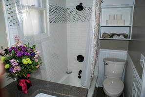 Makeup counter and mirror area in bathroom
