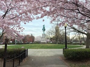 Stanton Park 