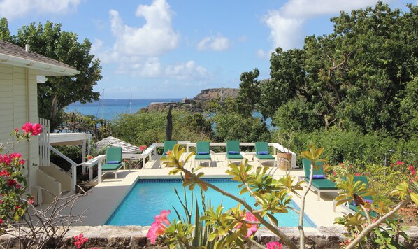 Large private pool with stunning views and lounge chairs.