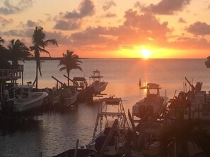 IMG_7488(1)