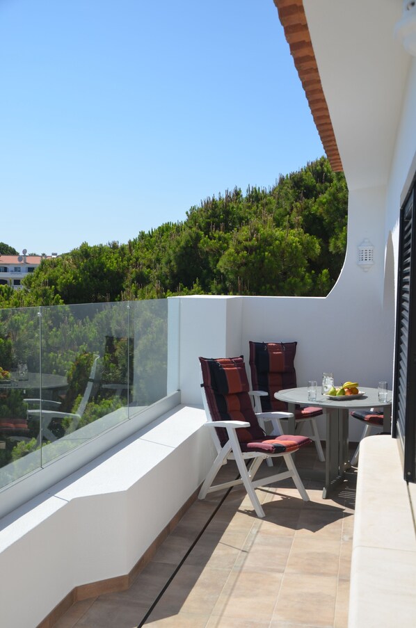Rear terrace