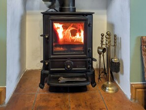 Log burner | Prior Bank, Canonbie