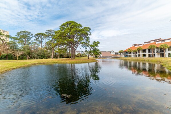 Fantastic golf, pond, and pool views!