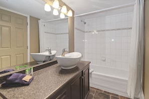 Full Bathroom (1)