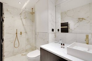 Une salle de bains avec douche et WC.