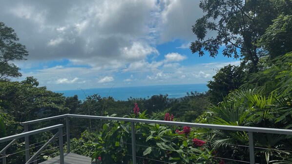 View From Back Deck