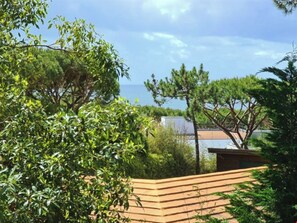Ocean view