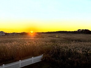 Sunset on Back Deck