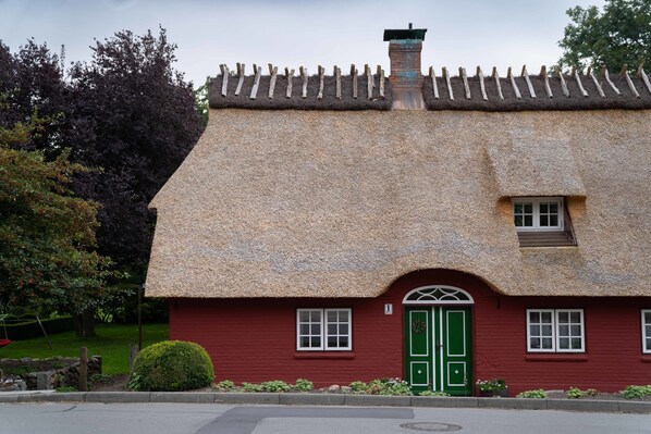 Exteriör