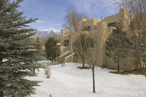 65238785-H1-Taos_3-min