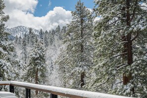 Winter - View from Balcony - Fresh Snow - MARCH 2025!