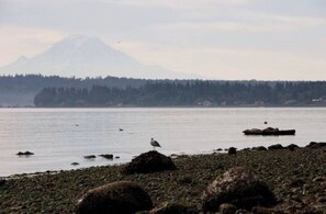 Beach combing is a must-do! Notice Mt Rainier in the background!