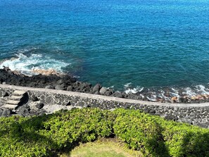 Looking down from Lanai, see fish in the water!