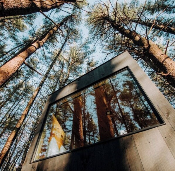 Large Window