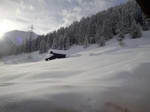 Picture 3