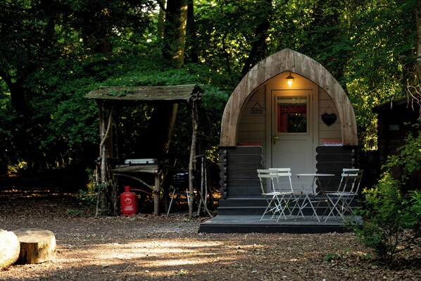 Daisy pod outside