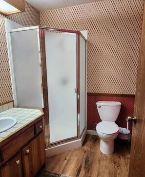 Bathroom 1 with stand up shower (Downstairs)