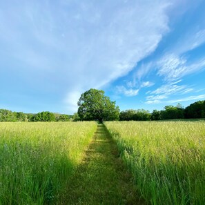 Follow your path. 54 acres of meadows, horse paddocks and forest to explore