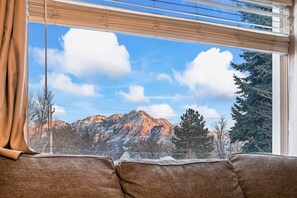 Mount Olympus view from living room window