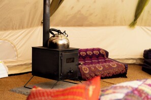 Log burning stove
