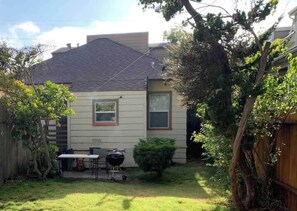 Backyard (1)