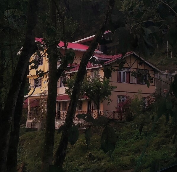 bugalow. homestay hostel cafe