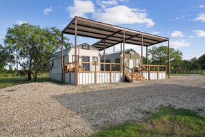 Oklassificerad bild, 3 av 97, knapp
