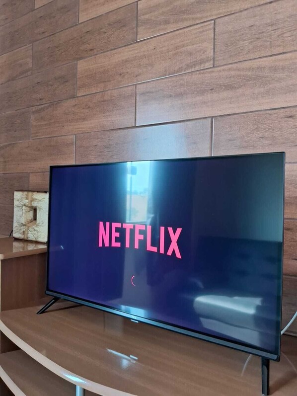 Television