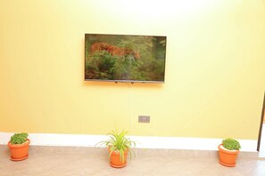 Television