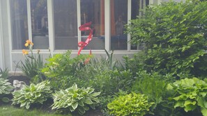 back garden