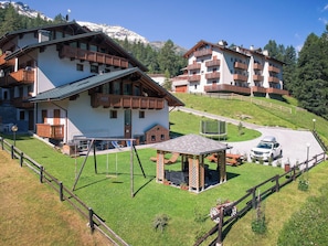 Trädgård