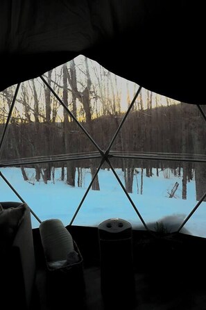 Bedroom View