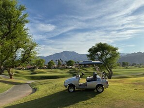 A complimentary 2 person Western golf cart comes with rental!