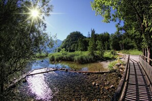 Surroundings [summer] (1-5 km)
