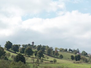 View from Holiday Home [summer]