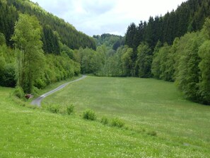 Immediate Surroundings [summer] (<1 km)