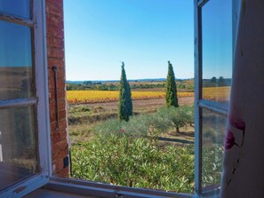 View from Holiday Home [summer]