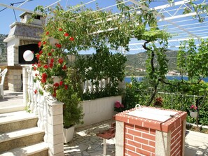 Garden [summer]