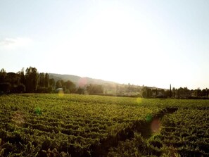 I området [sommer] (> 5 km)