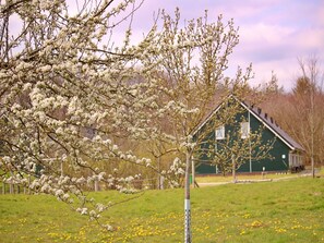 Außenseite Ferienhaus [Sommer]