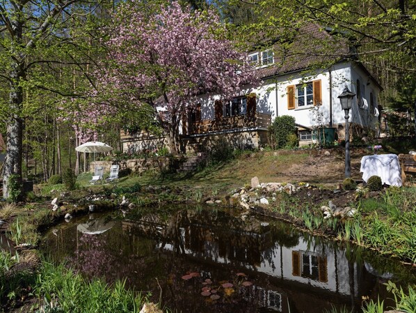 Stugans exteriör [sommar]