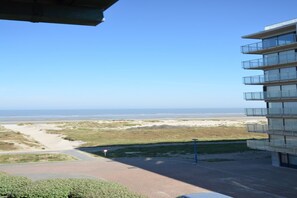 Aussicht vom Ferienhaus [Sommer]