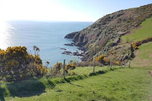 Region [summer] (&gt;5 km)