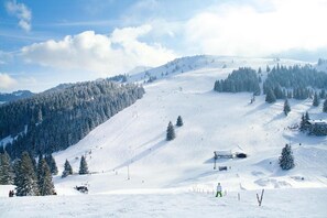 Surroundings [winter] (1-5 km)