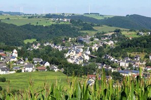 Region [summer] (&gt;5 km)