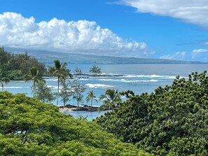 View from Lanai