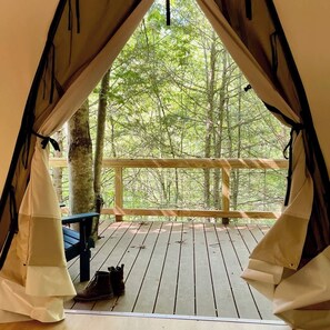 Fully covered porch with a tree!
