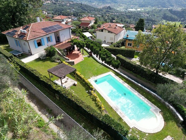 Garden, Outdoor, Pool
